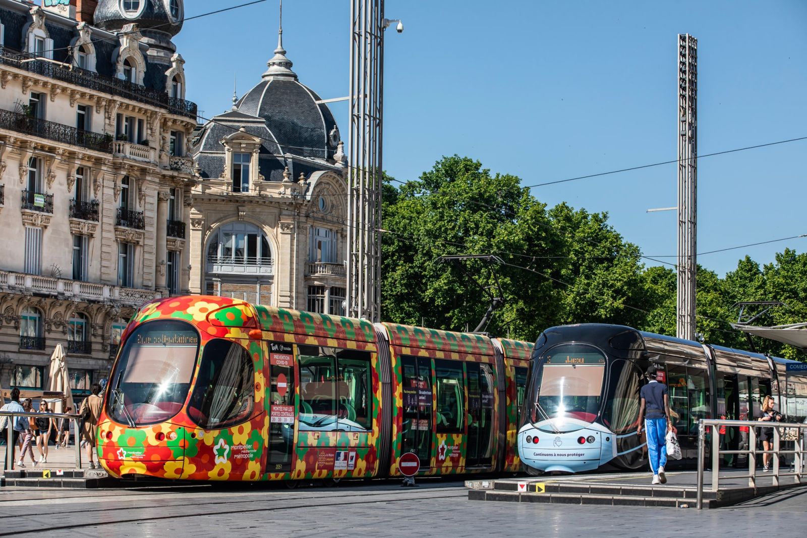Montpellier Transports Commun Gratuite