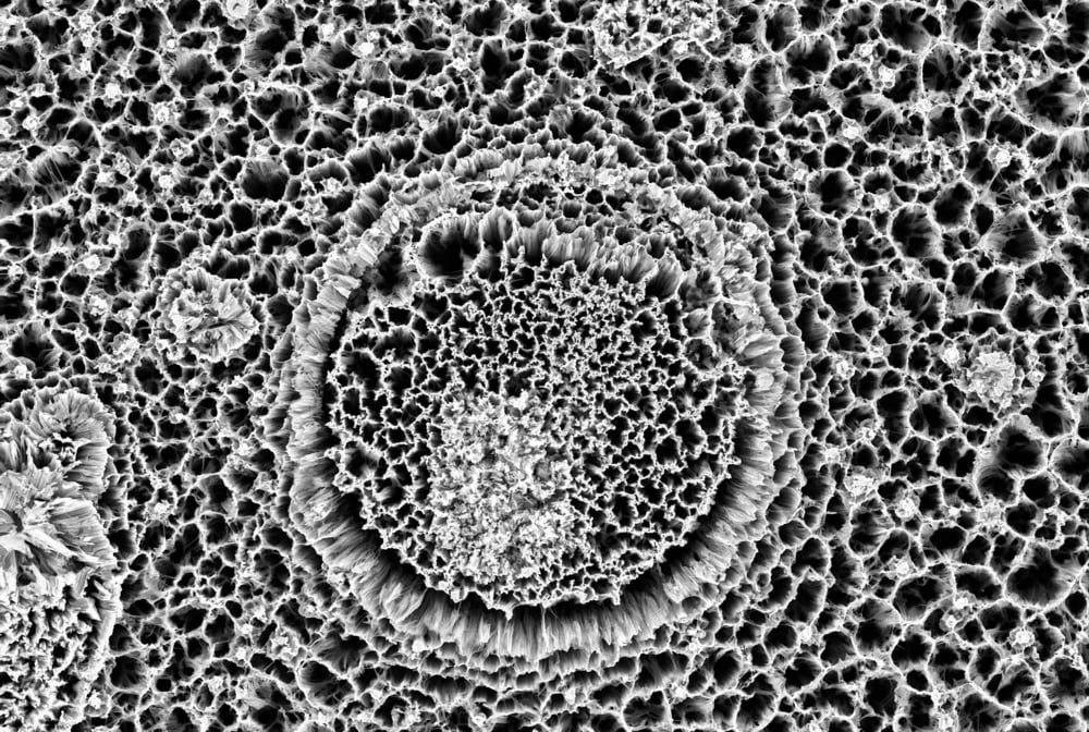 Nanomateriaux Danger Sante Environnement Impact Risque