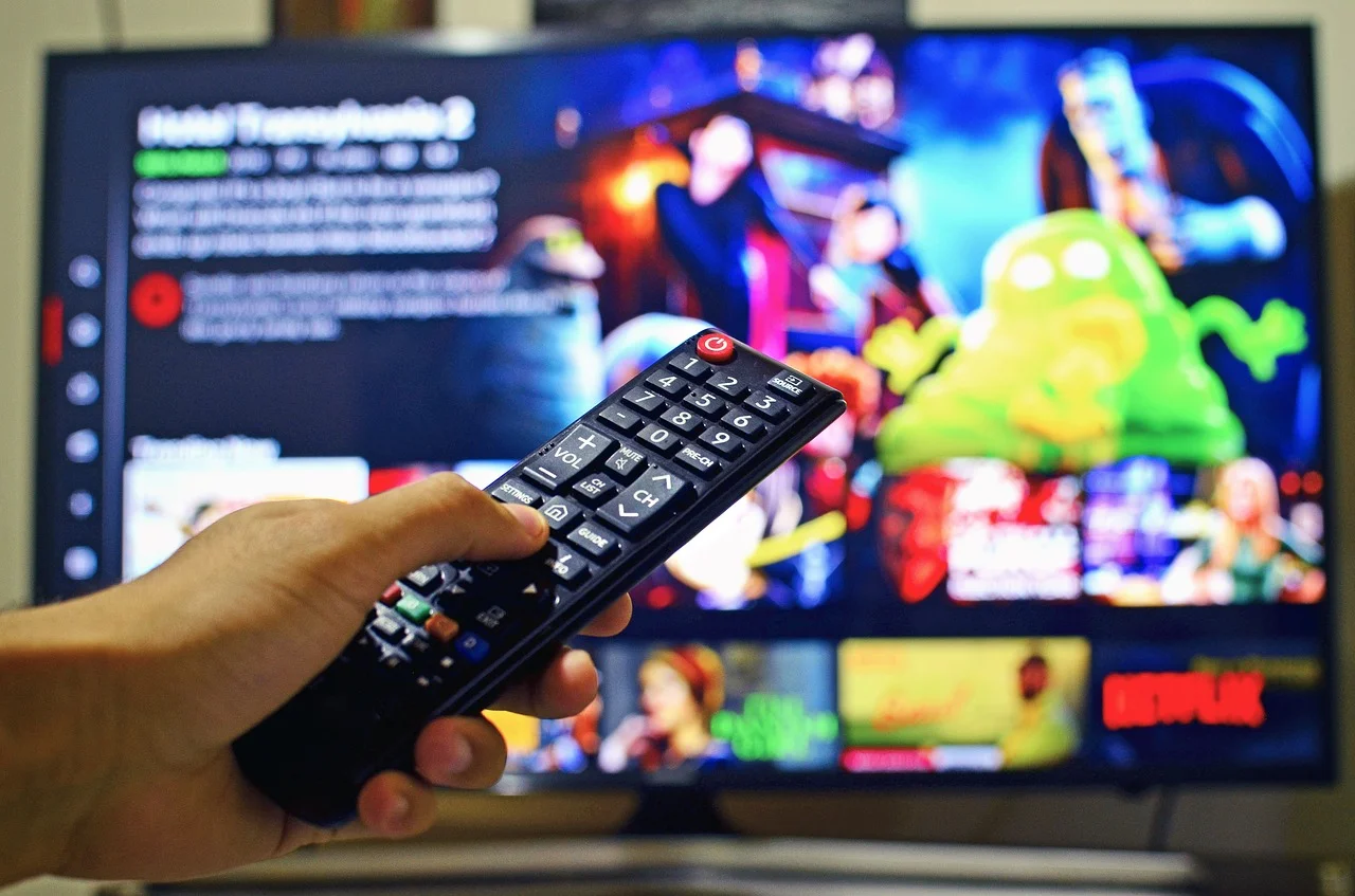 Netflix France Streaming 1