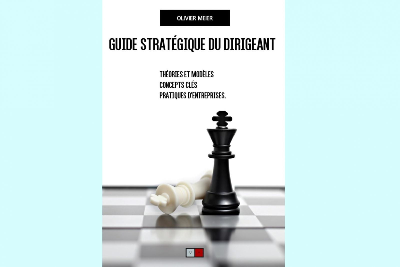 Olivier Meier Guide Strategique Digireant