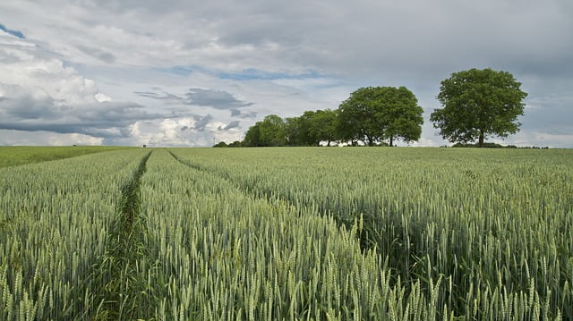 Patrimoine Foncier Terrains Agricoles Protection
