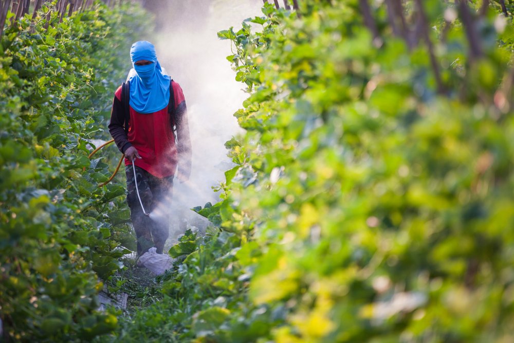 Pesticide Agriculture Sante Cancer Risque Danger