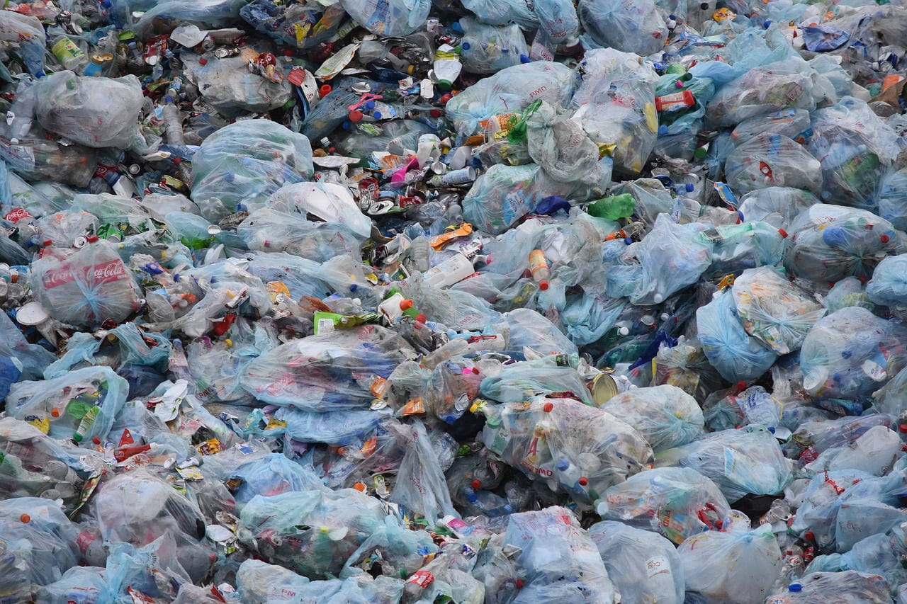 Plastique Decharge Pollution Nature Cout Environnement