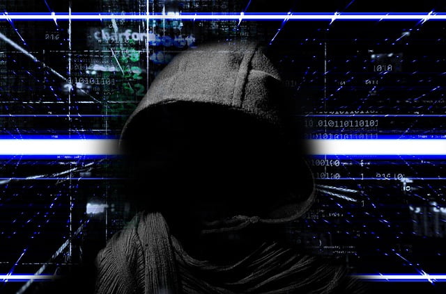 Ransomwares Protection Donnees Europe