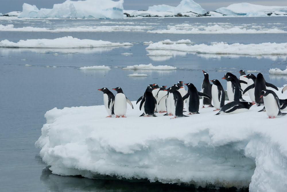 Rechauffement Climatiques Theorie Climato Sceptique