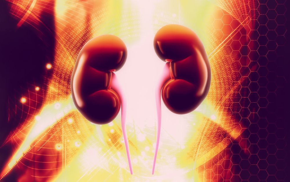 Rein Vente Ebay Argent Chomeur