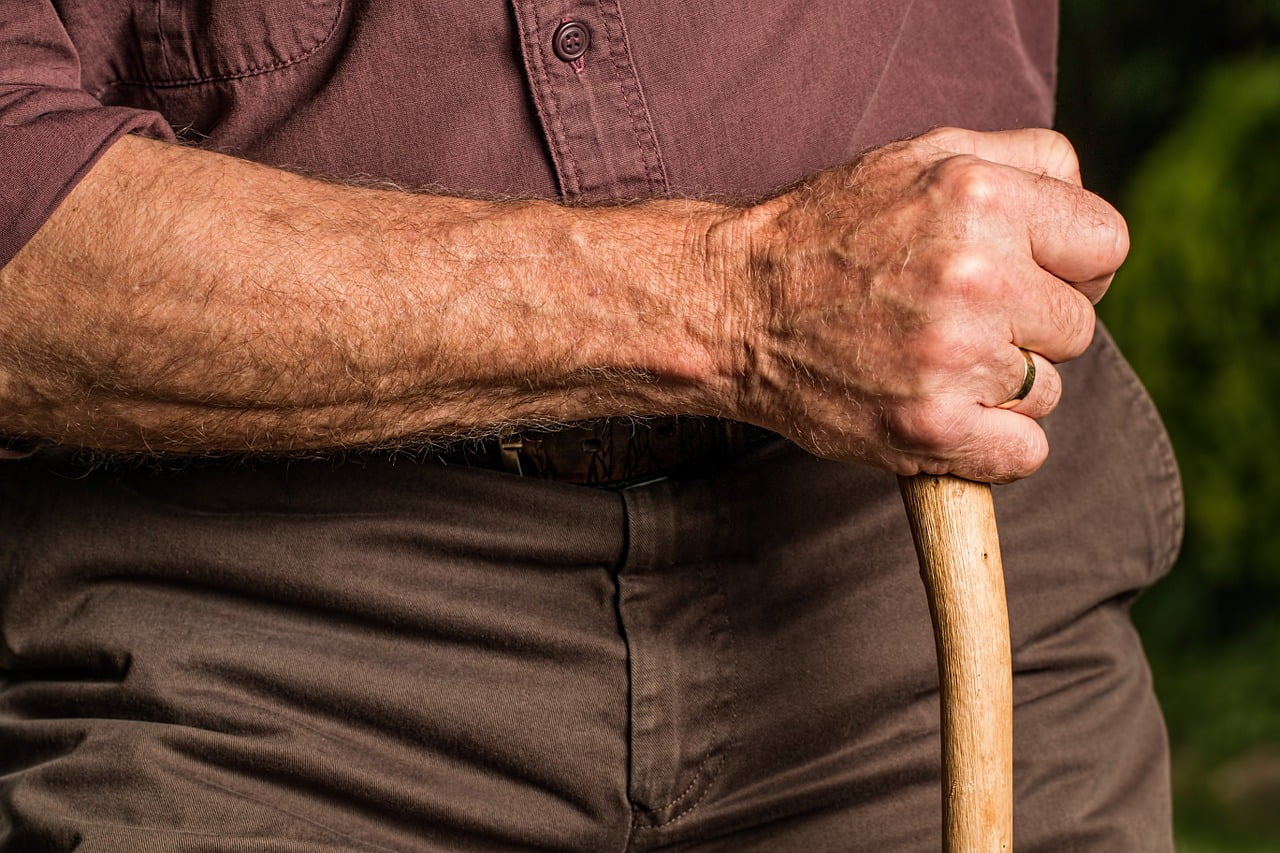 Revalorisation Montant Retraites Pensions Base Calcul Inflation