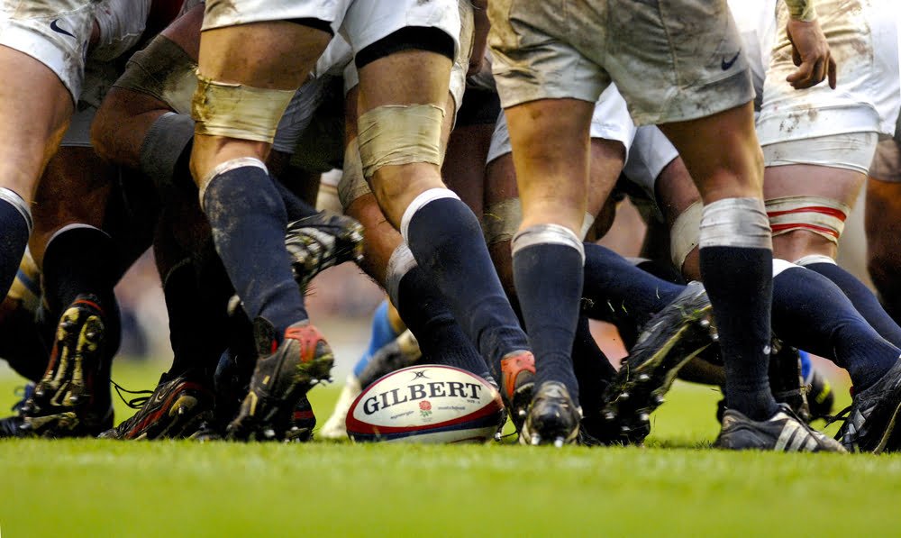 Rugby Sport Donnees Joueurs Informatique