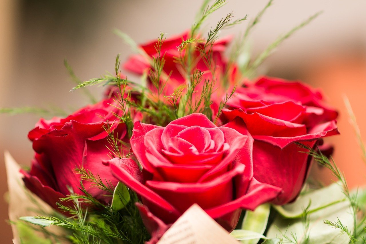 Saint Valentin Fleurs