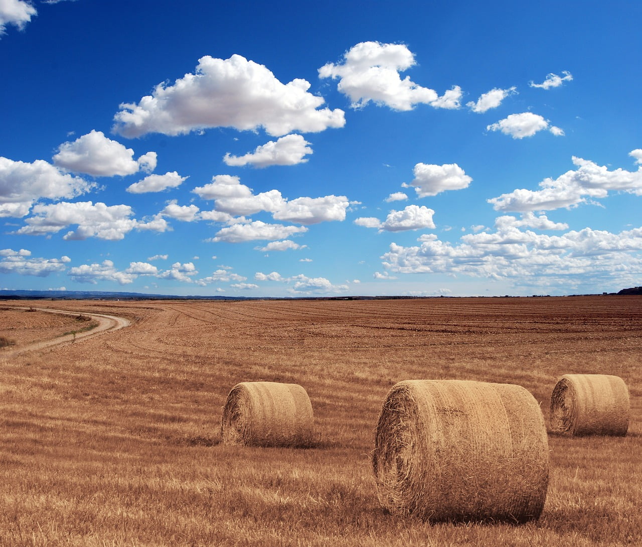 Salaire Moyen Agricultueurs 2016 2