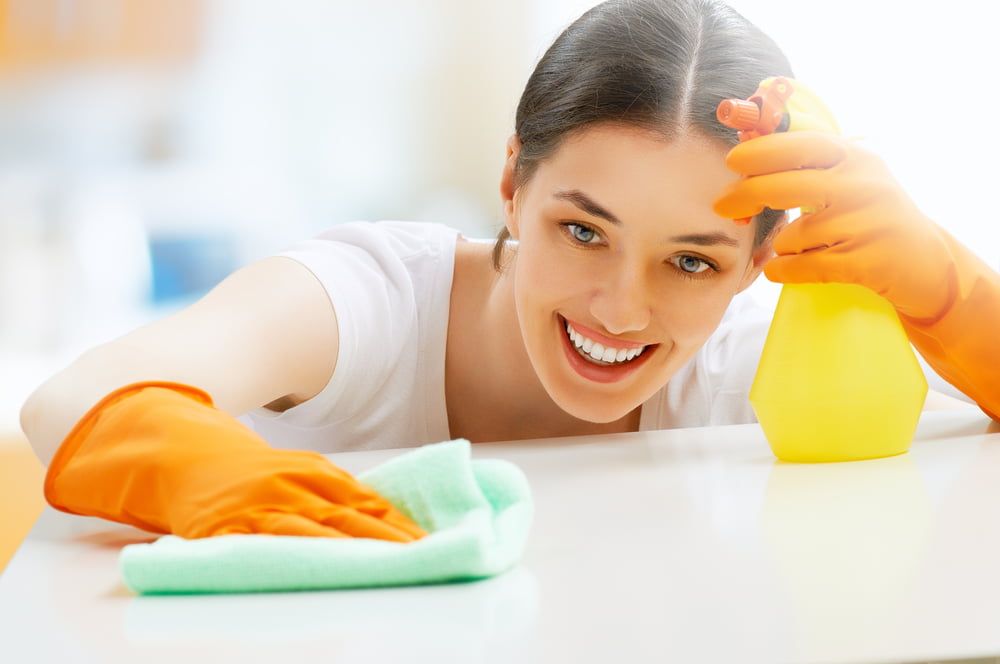Services Personnes Creation Emploi Domicile