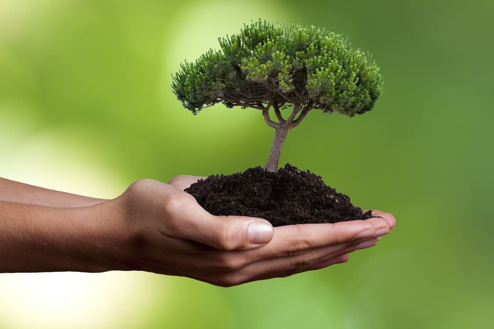 Shutterstock 122996587