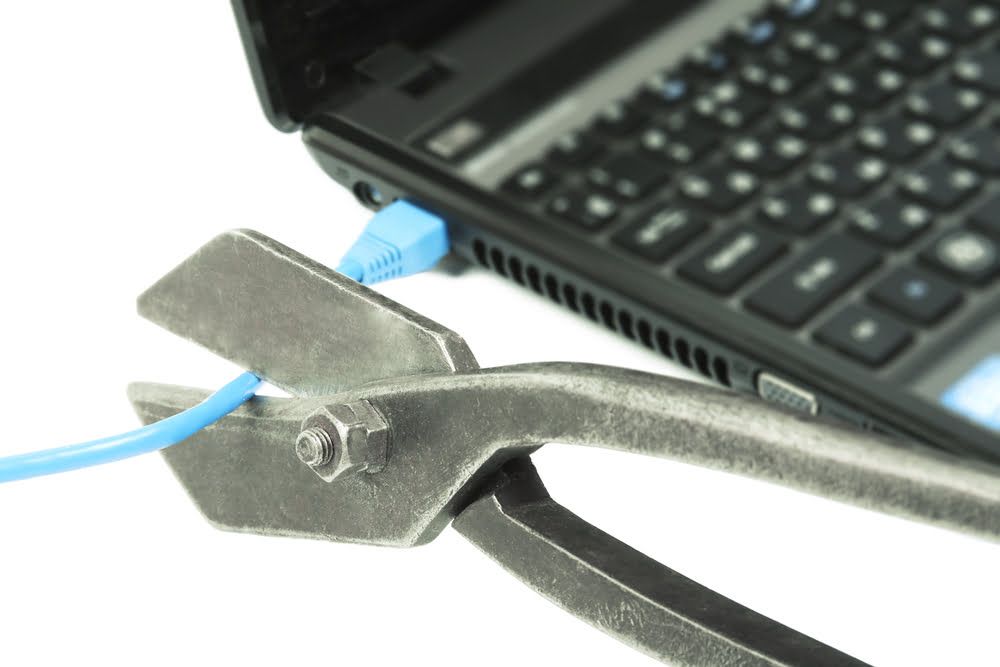 Shutterstock 137702606