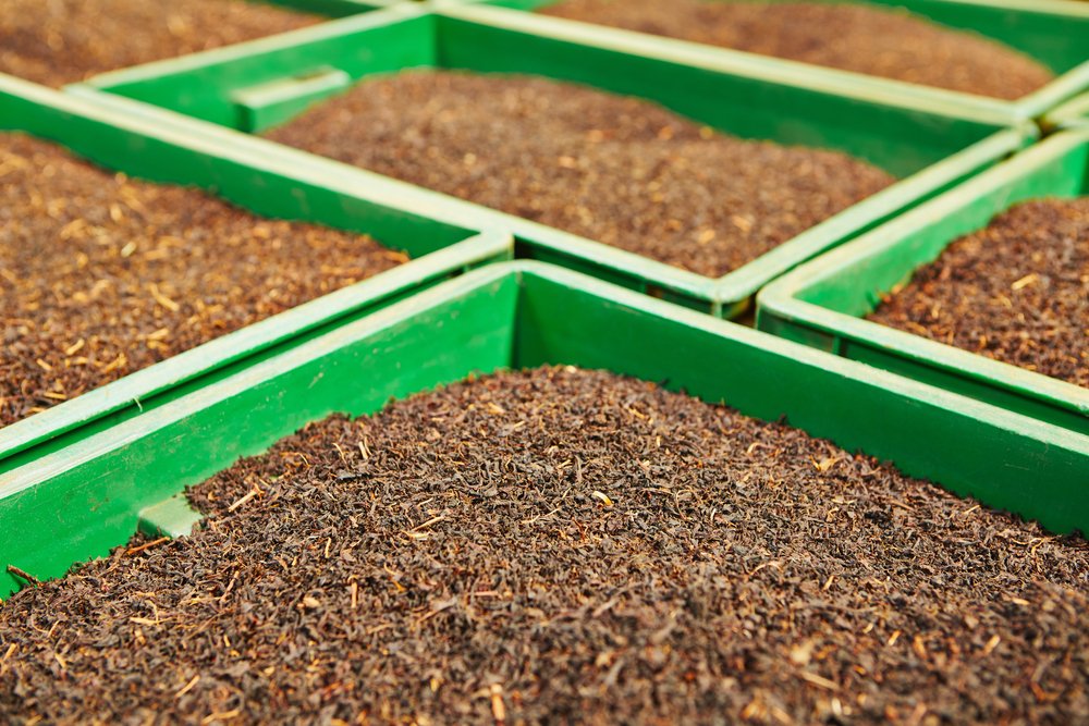 Shutterstock 160266545