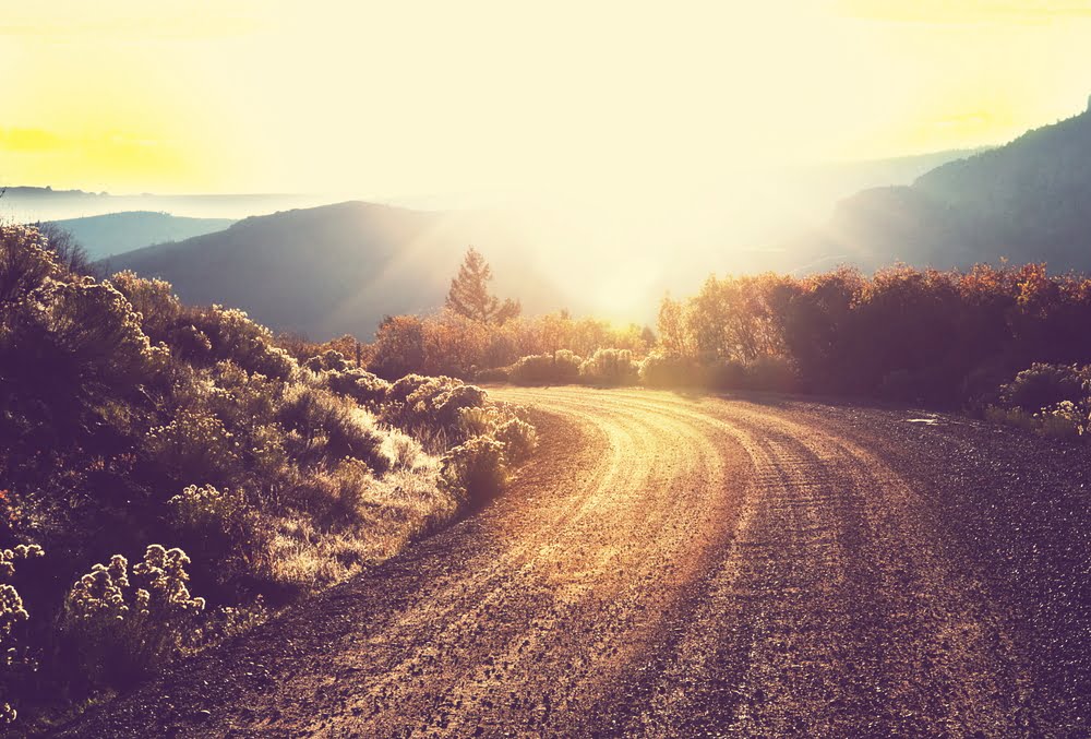 Shutterstock 162447488