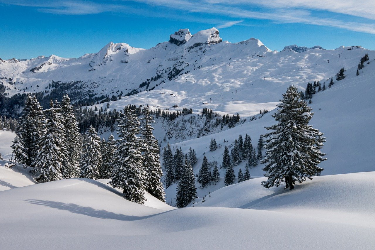 Stations Ski Engouement 2