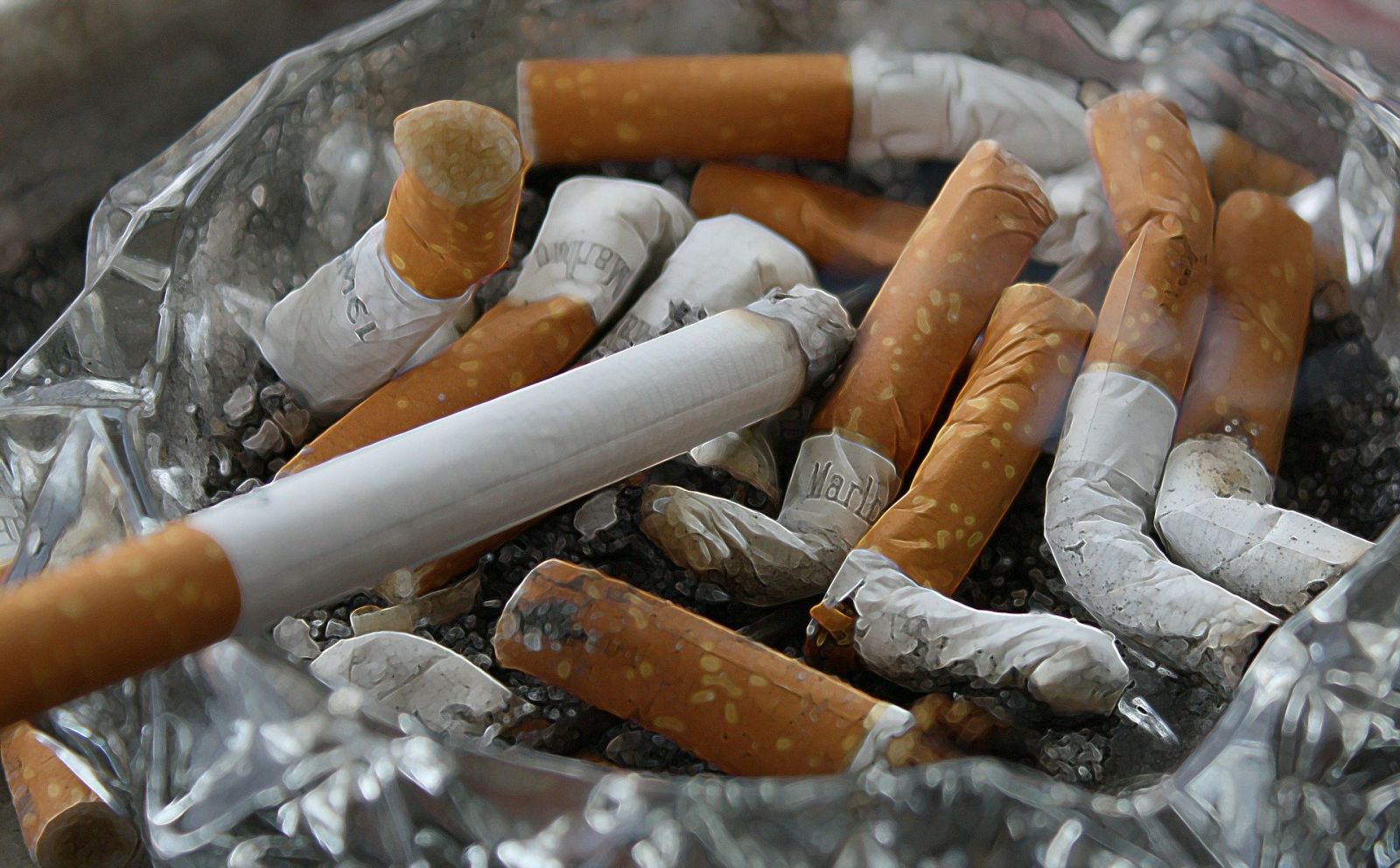 Tabac Menthol Etats Unis Interdiction
