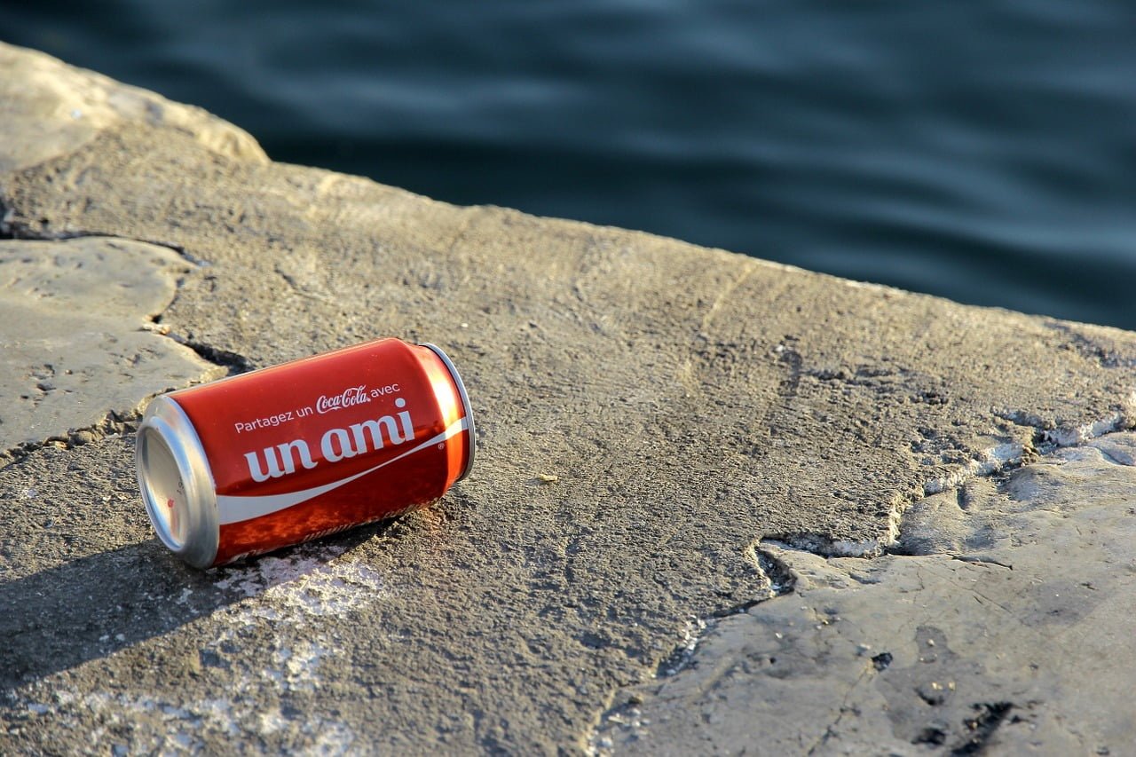 Taxe Soda Augmentation Lutte Obesite Alimentation Pouvoir Achat