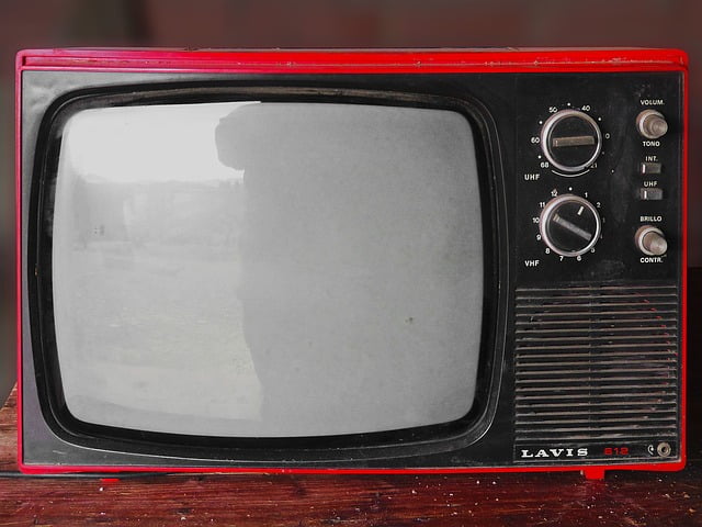 Television Personnalisation Publicite Audience
