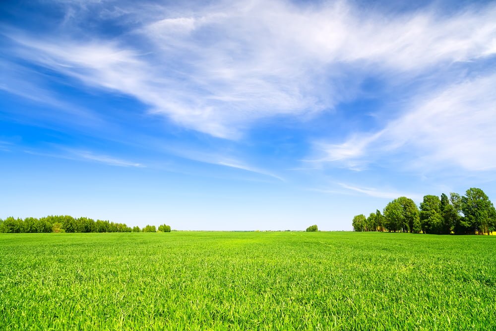 Terrai Batir Taxe Augmentation Bercy Expropriation