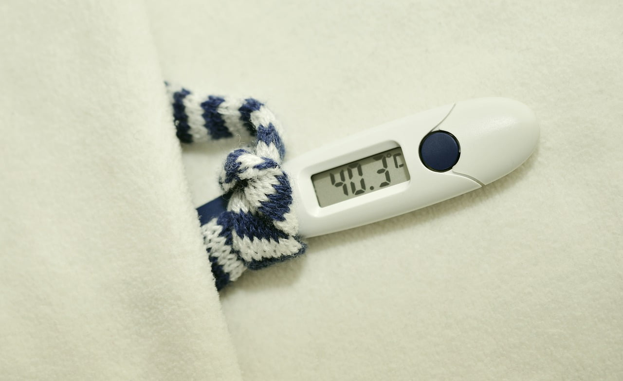 Thermometre