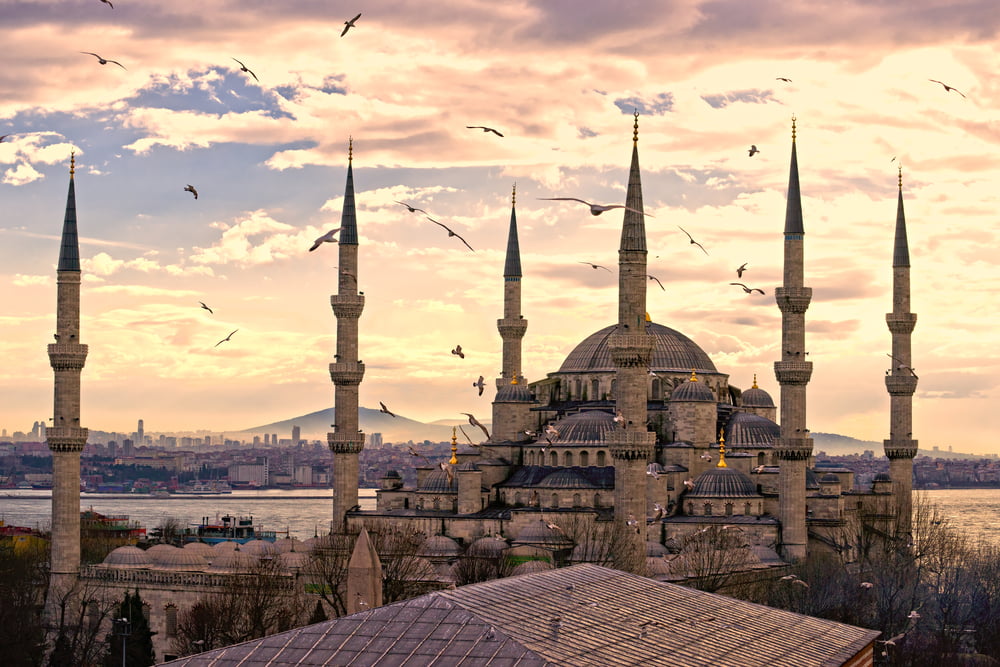 Turquie Daech Europe Terrorisme Immigration