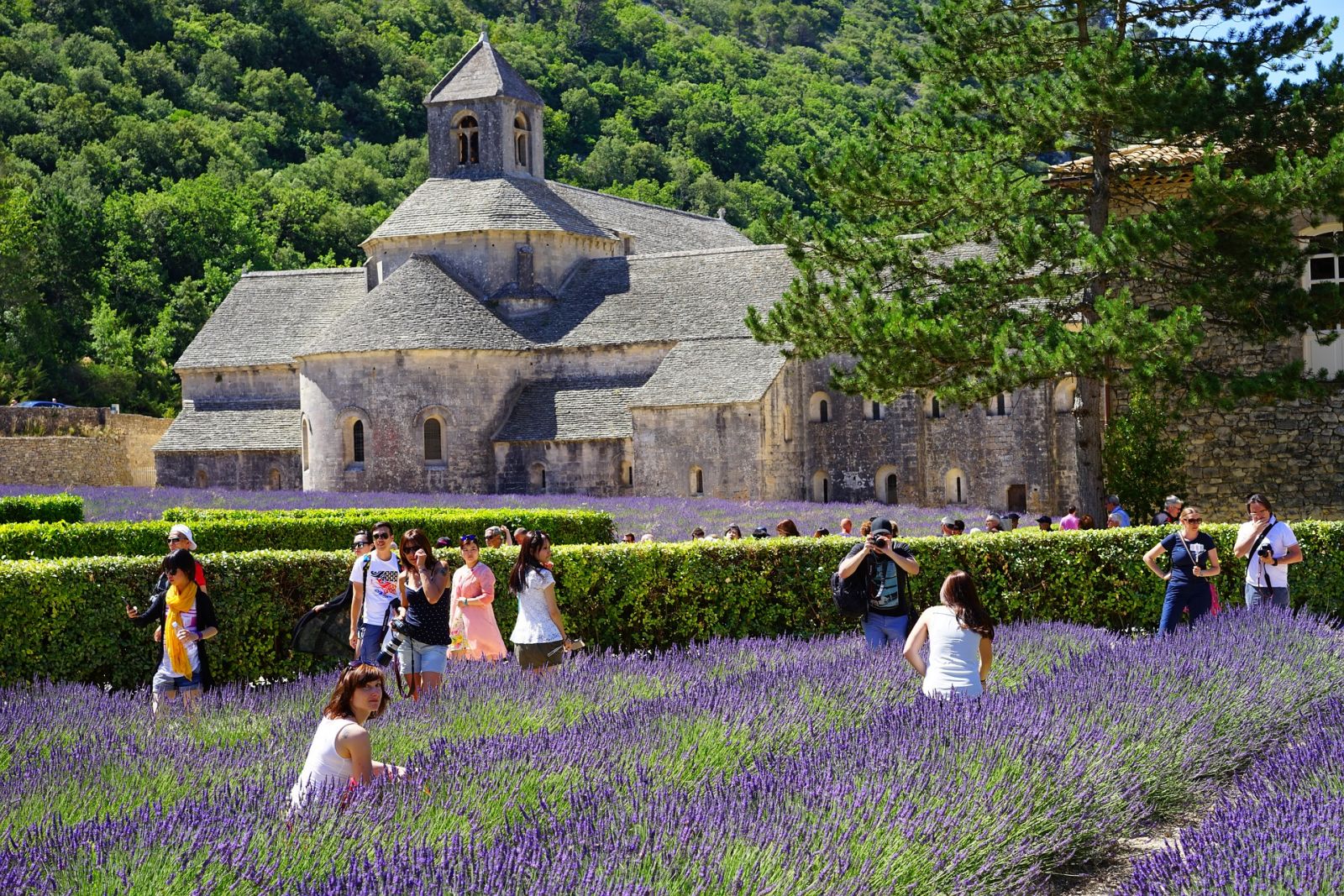 Vacances France Depenses