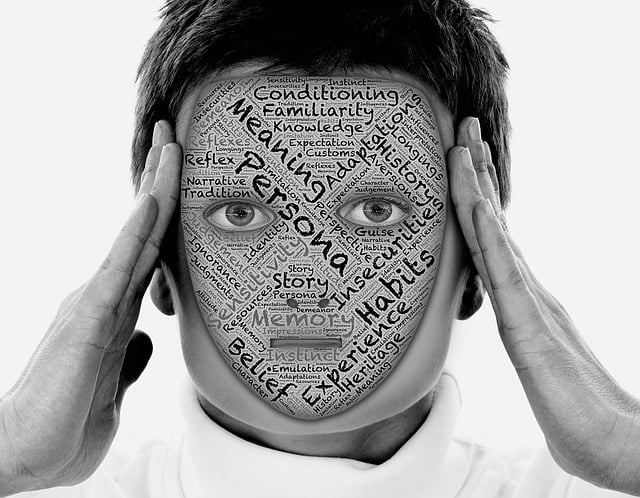 Vol Identite Internet Securite Web