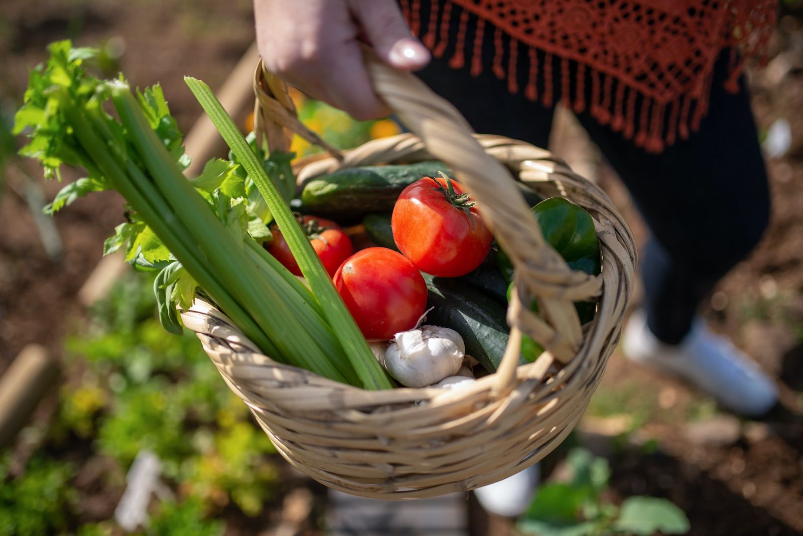 Produits Bio Proposition Tva Reduite