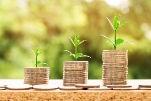 Salaire Indexation Inflation France Economie Pouvoir Achat