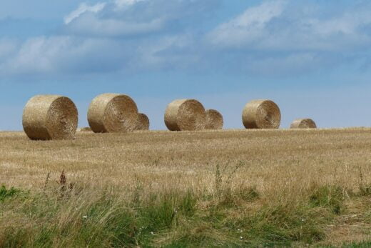 Biens Ruraux Exoneration Fisc Transmission