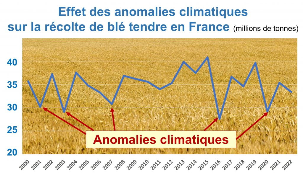 Anomalies Climatiques Et Production De Ble 1024x586
