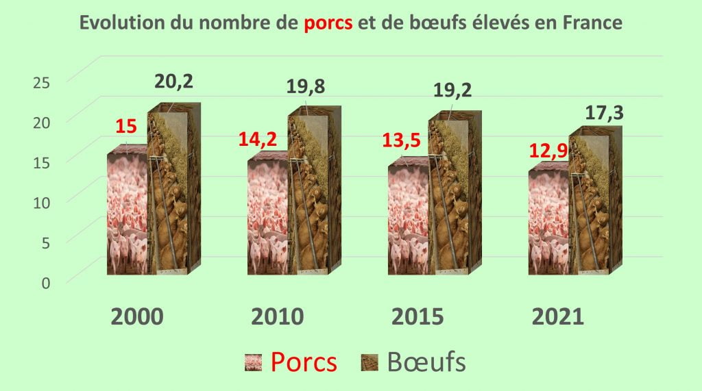Evolution Du Nombre De Porcs Et Boeufs Eleves En France 1024x571
