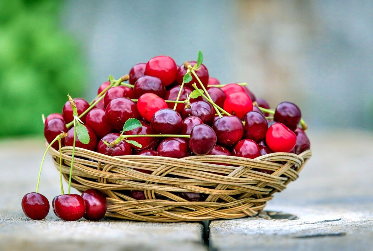 Cerises Prix France Hausse Cout Recolte Consommation