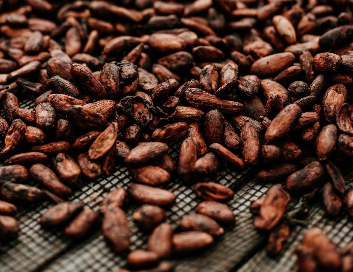 Hausse Prix Chocolat Feve Cacao