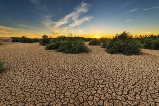 Consequences Economiques Devastatrices Courant Oceanique El Nino