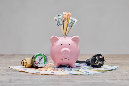 sobriété énergétique, consommation énergie, inflation, électricité, gaz, carburant, ministre de la Transition écologique