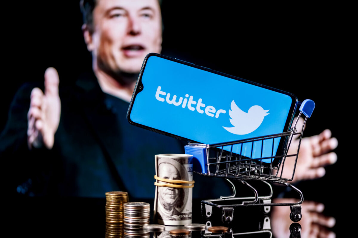Twitter Payant Pour Tous Elon Musk Prix Abonnement Reseau