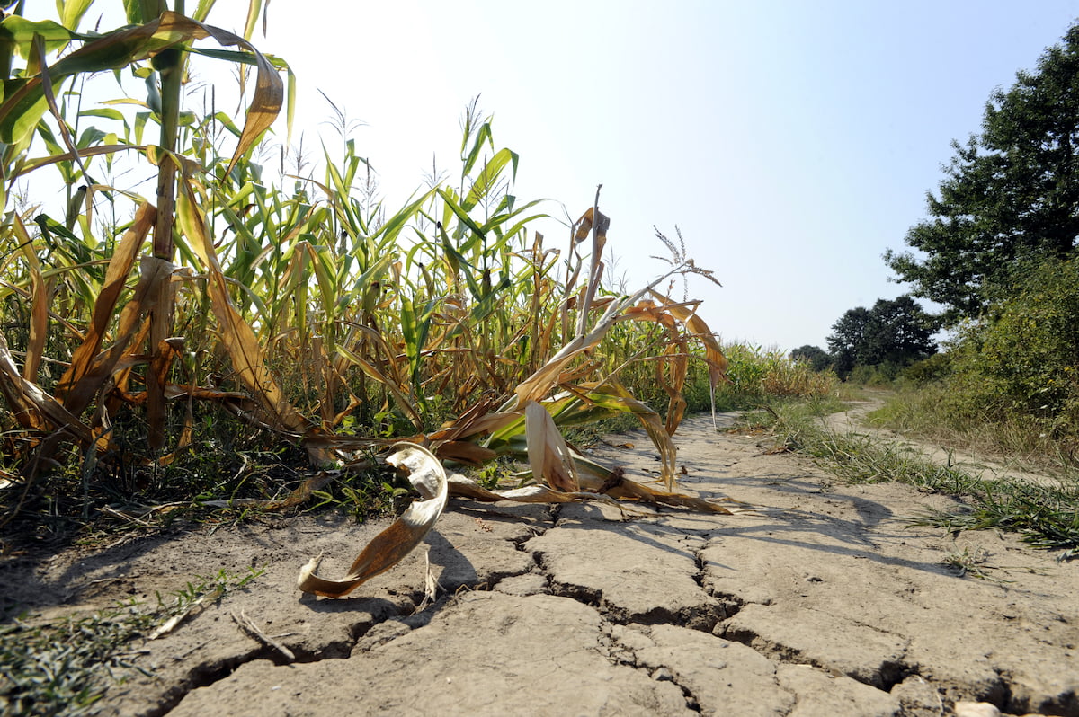 Terre, planète, 2023, année record, records de température, thermomètre, Copernicus, réchauffement climatique, changement climatique, océans, El Niño, monde, COP28