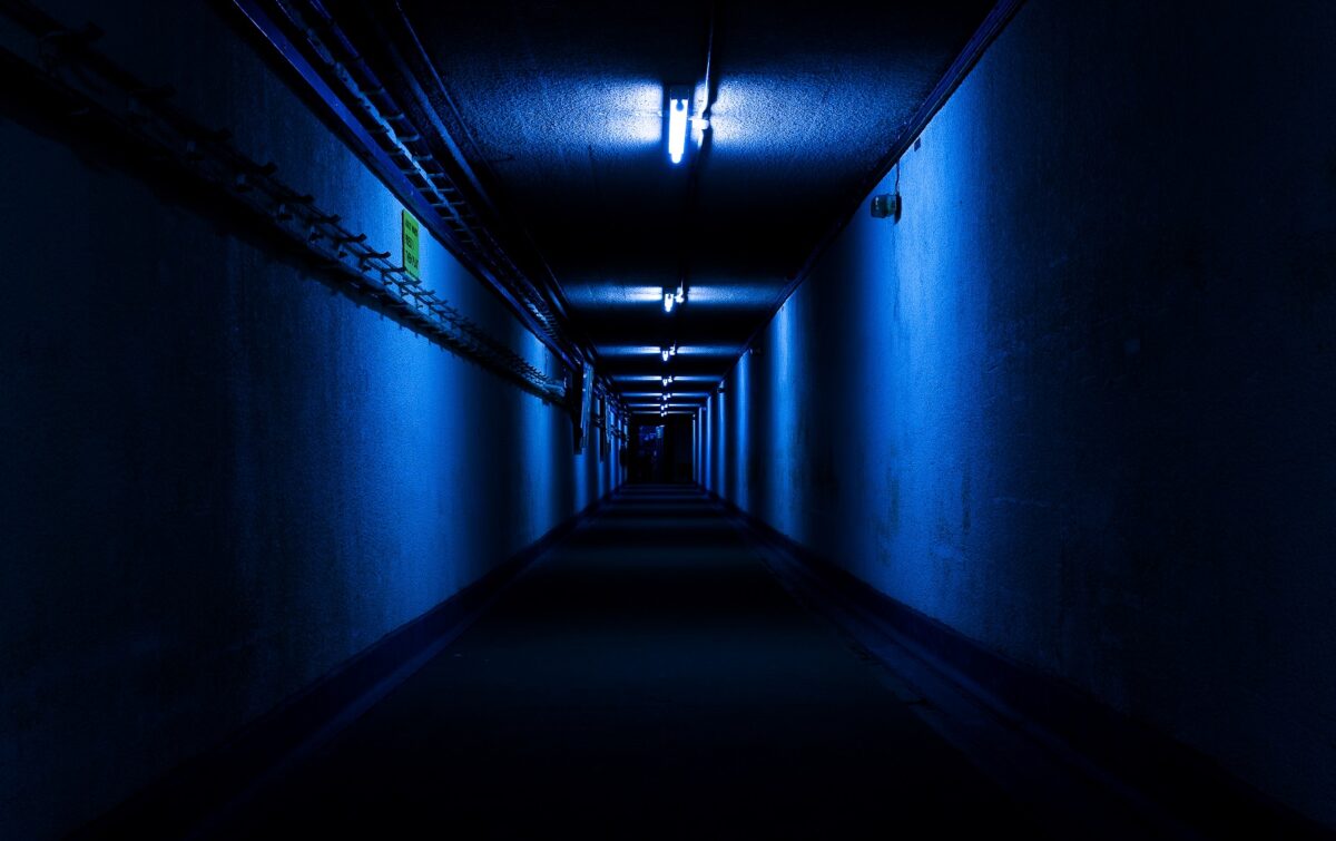 bunker, milliardaire, effondrement, société,