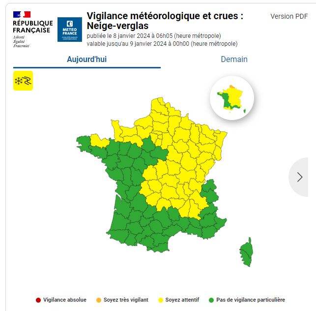 Vigjaune