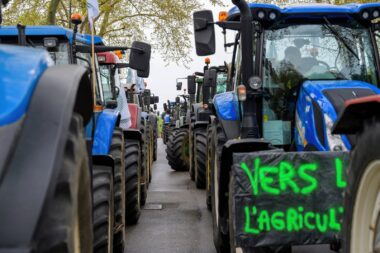 Loi Duplomb : pourquoi les agriculteurs sont de retour dans la rue ?