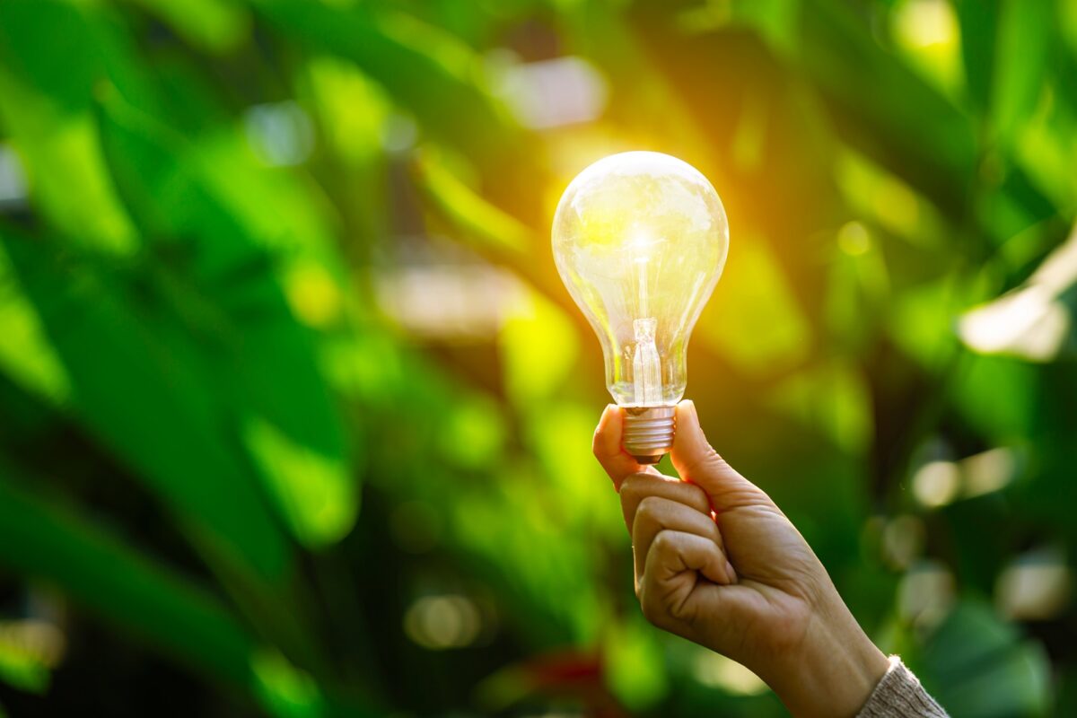 energie, renouvelable, prix, coût, pouvoir d'achat, inflation