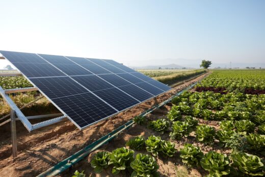 panneaux-solaires-agriculture-champs