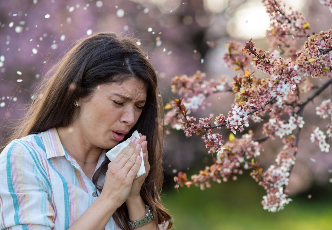 alerte rouge, département, santé, allergie, pollens, avril 2024, Réseau national de surveillance aérobiologique