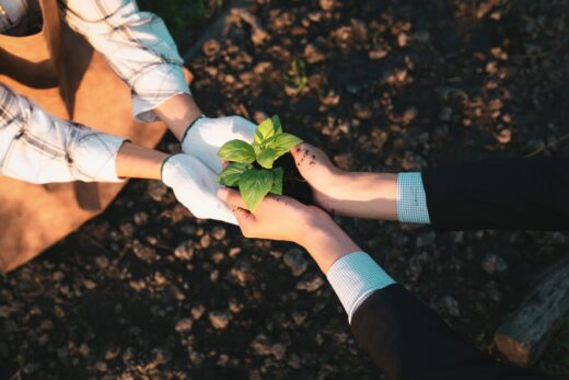 economie-regenerative-tendance-rse