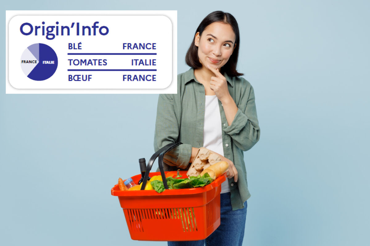 Young,minded,woman,wears,casual,clothes,hold,red,basket,with