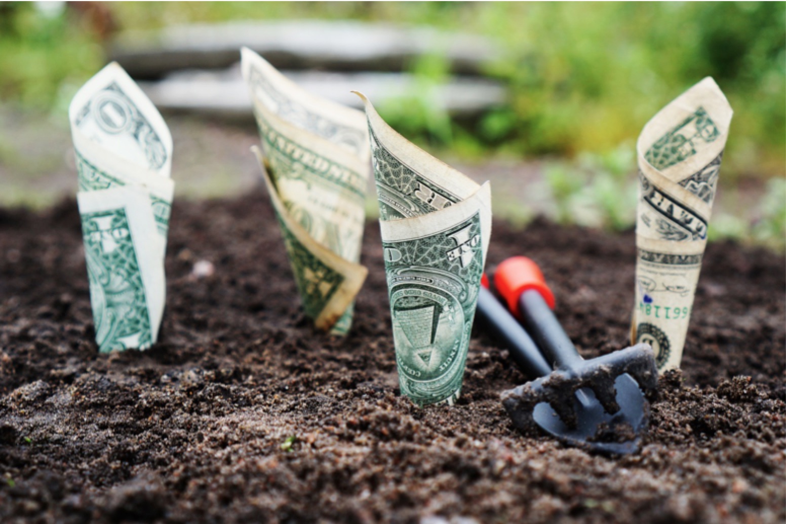 Investissement Secteur Varie