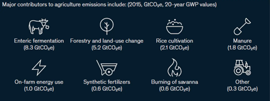 Arti Gossen 23082024