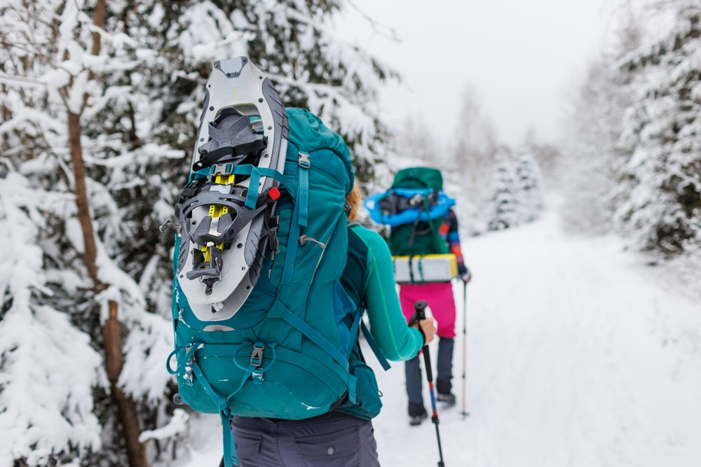 Face au manque de neige, les amateurs de montagne se tournent de plus en plus vers des alternatives telles que la randonnée pour profiter du paysage hivernal.
